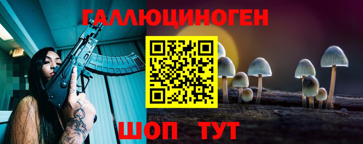 Чита  Псилоцибиновые грибы Psilocybe  Вход с VPN 